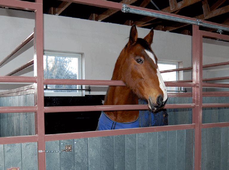 Zweephouder groot, wandhouder voor max. 11 zwepen, zwart